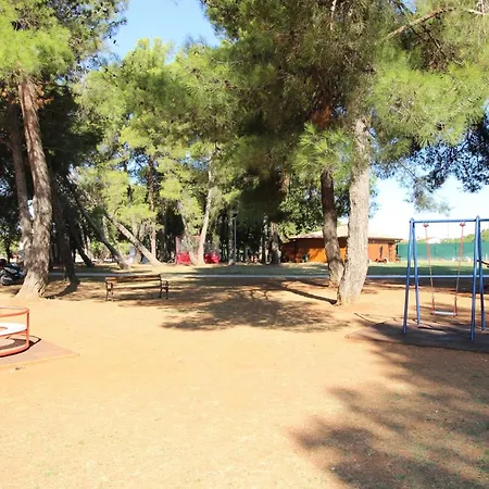 Dada Big Novigrad Istria